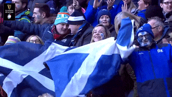 6 Nations Applause GIF by Guinness Six Nations