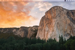 Run Startup GIF