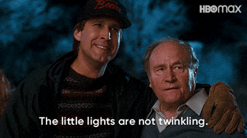 National Lampoons Christmas Vacation GIF by HBO Max