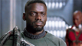 Black Panther Death Stare GIF