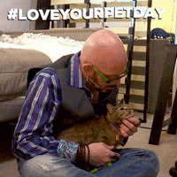 jackson galaxy cats GIF by Animal Planet