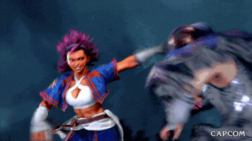 Street Fighter Sweep GIF by CAPCOM