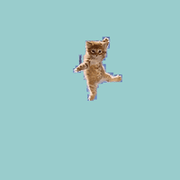 200.gif?cid=fc005b08d0fb3eb827b718d01986d3f074a315eb4f91cf10&rid=200.gif&ct=g