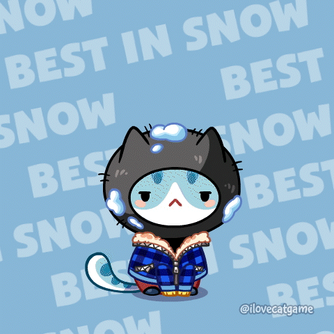 Snow Day Cat GIF by Mino Games