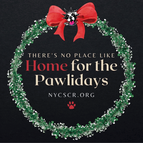 Home For The Holidays Happy Pawlidays GIF by NYC Second Chance Rescue