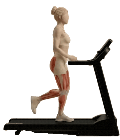 Fitness Workout Sticker by Formelle