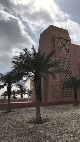 campus qatar GIF by Texas A&M University