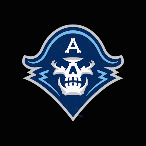 Milwaukee Admirals GIF