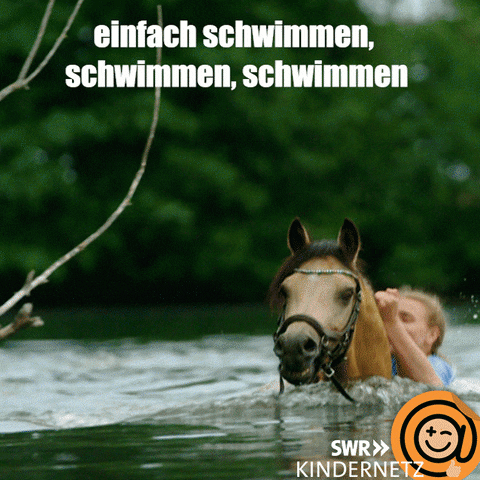 Horse See GIF by SWR Kindernetz