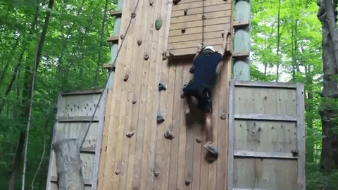 giphy.gif?cid=ecf05e4746141f37817dfcb3f4