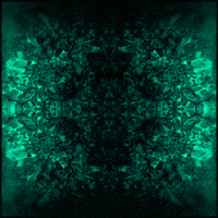 gif artist glow GIF by Erica Anderson