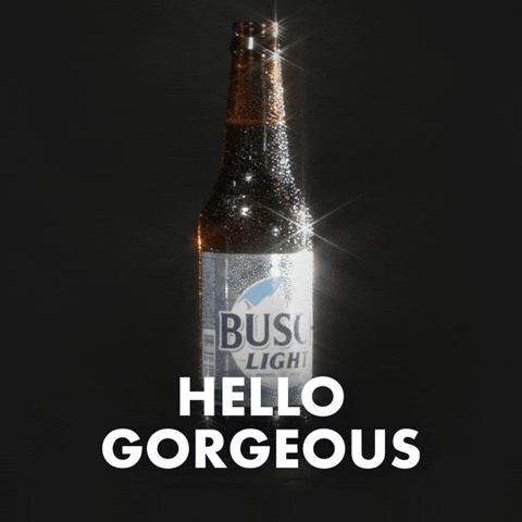 Busch Light GIF by Busch Beer