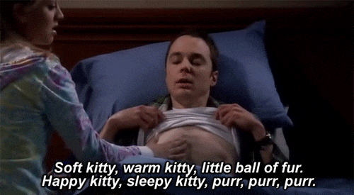 Soft Kitty Warm Kitty Gifs Get The Best Gif On Giphy