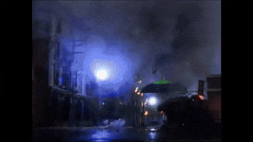 salmonella  GIF