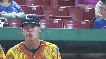 oblivious cam GIF by Kane County Cougars