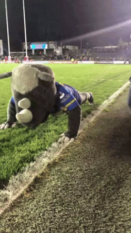 rugby league love GIF by Leeds Rhinos