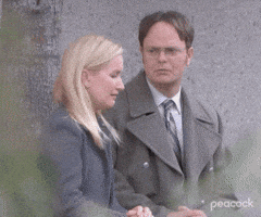 Episode 8 Comedy GIF by The Office
