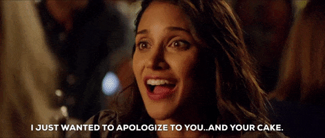 melanie chandra i just wanted to apologize to you and your cake GIF by Surina & Mel.