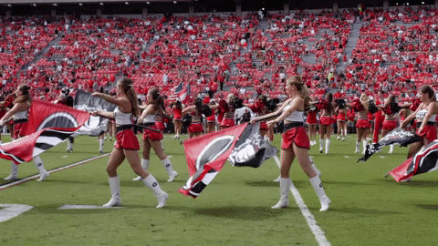 College Football Uga GIF by University of Georgia