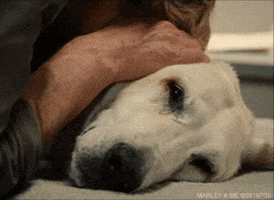 200.gif?cid=fc005b08eda83677ba6492be4e3758f5436e000651002b5a&rid=200.gif&ct=g
