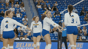 shocked ncaa sports GIF by Delaware Blue Hens