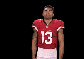 Arizona Cardinals What GIF by NFL