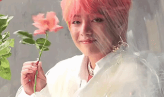 Pink V GIF