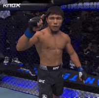 Ufc Uzbekistan GIF