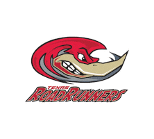 Texas Roadrunners Sticker