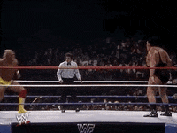 Hulk-hogan-vs-the-rock GIFs - Get the best GIF on GIPHY