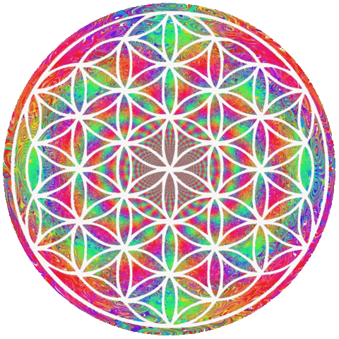 Source: porkborscht1312