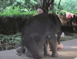 Baby Love GIF