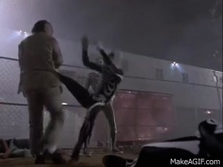 Karate Kid GIF - Find & Share on GIPHY