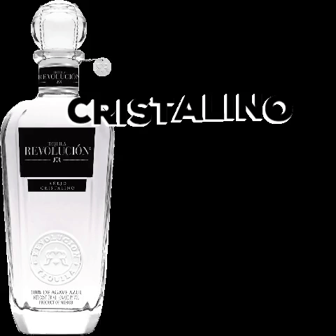 Party Nightlife GIF by Tequila Revolución USA