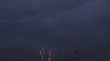 MadisonMallards GIF