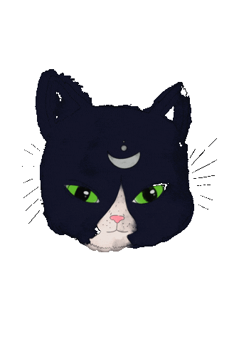 Cat Sticker