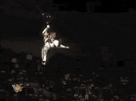 Shawn Michaels Wrestling GIF by WWE - Find & Share on GIPHY