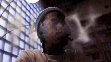 Chavo GIF