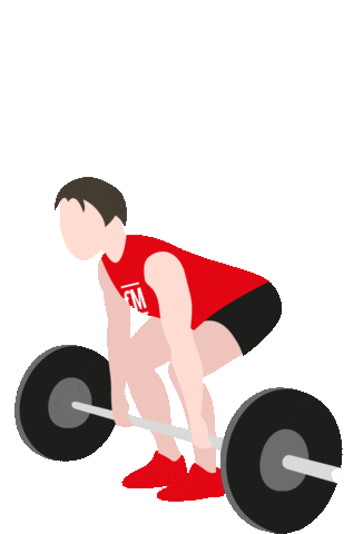 Fitness Workout Sticker by BSA-Akademie