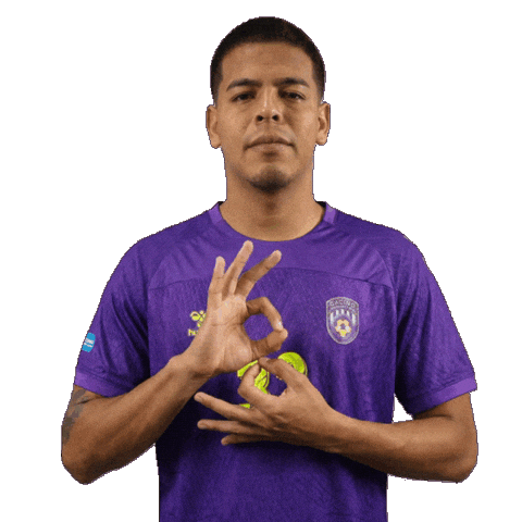 Futbol Bocadelrio Sticker by Racing de Veracruz