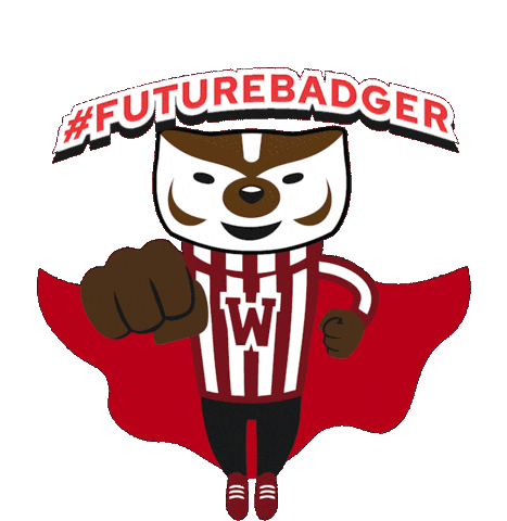 College Badgers Sticker by uwadmissions