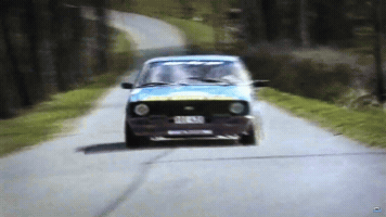 Rally GIF