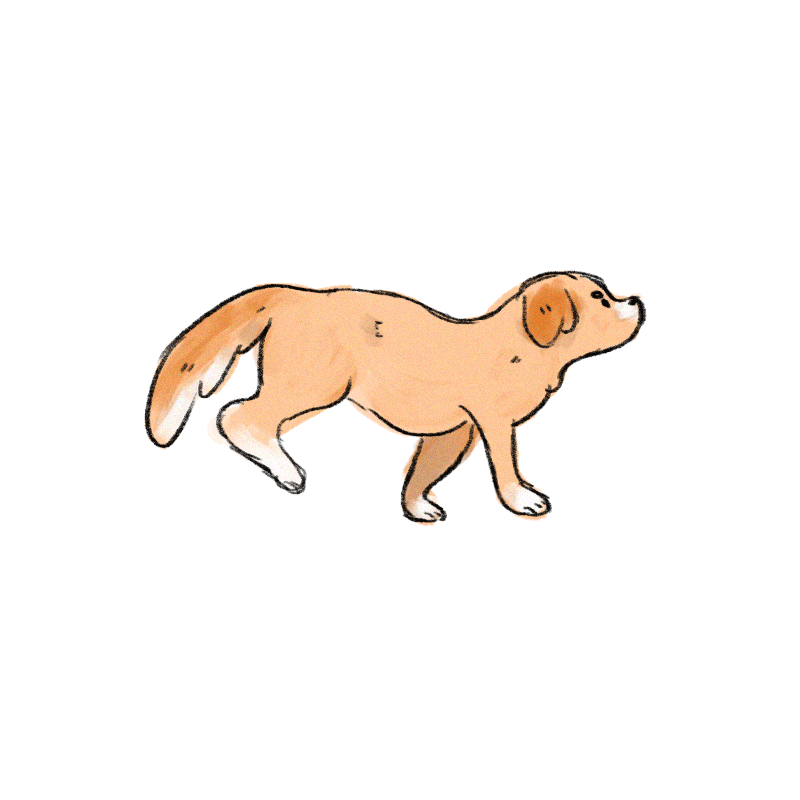 Featured image of post View 19 Transparent Clipart Puppy Gif
