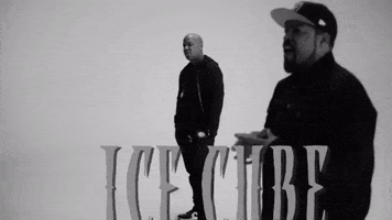 aint got no haters GIF by Ice Cube
