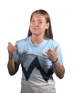 NZS | FA Slovenia Sticker