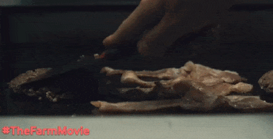 200.gif?cid=fc005b08ac336a436192f4aed7b6277d7539566e27545c0d&rid=200.gif&ct=g