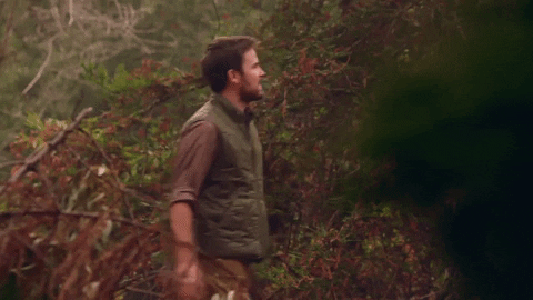 forest woods GIF by truTV’s Adam Ruins Everything