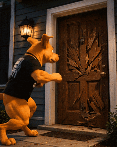 Bruno Lima Causa Animal GIF by Delegado Bruno Lima