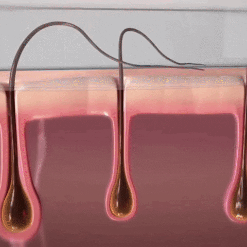 Laser GIF