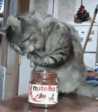 Nutella GIF - Find & Share on GIPHY